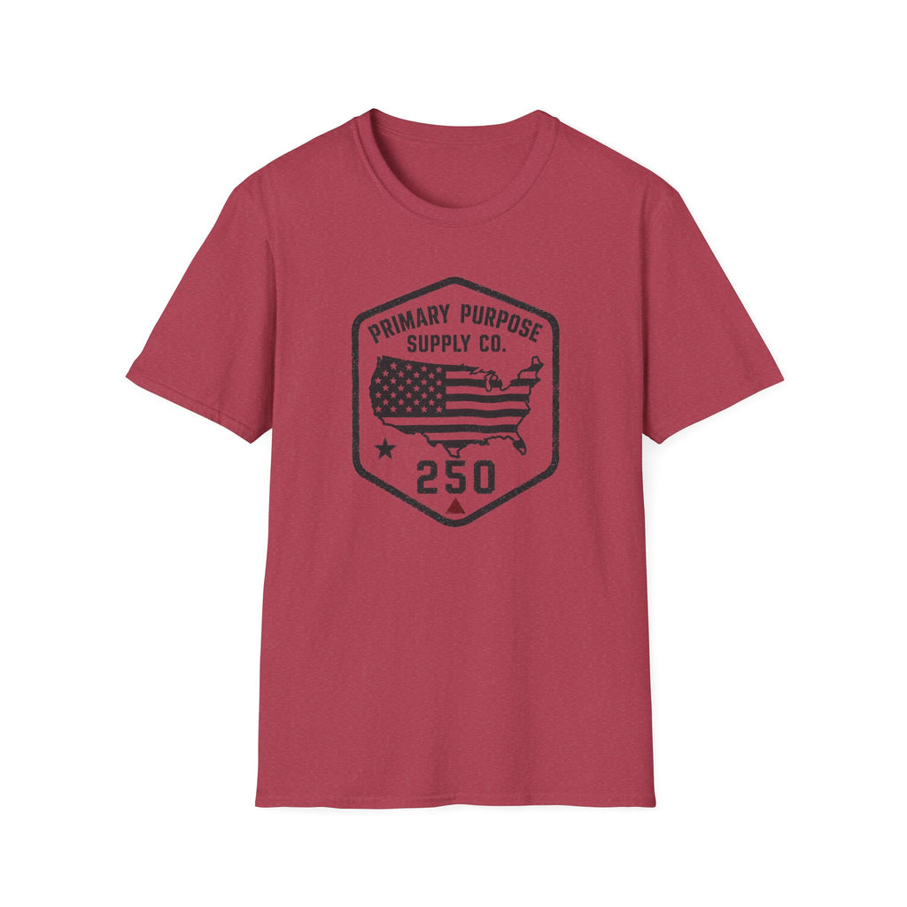 USA250 T-Shirt