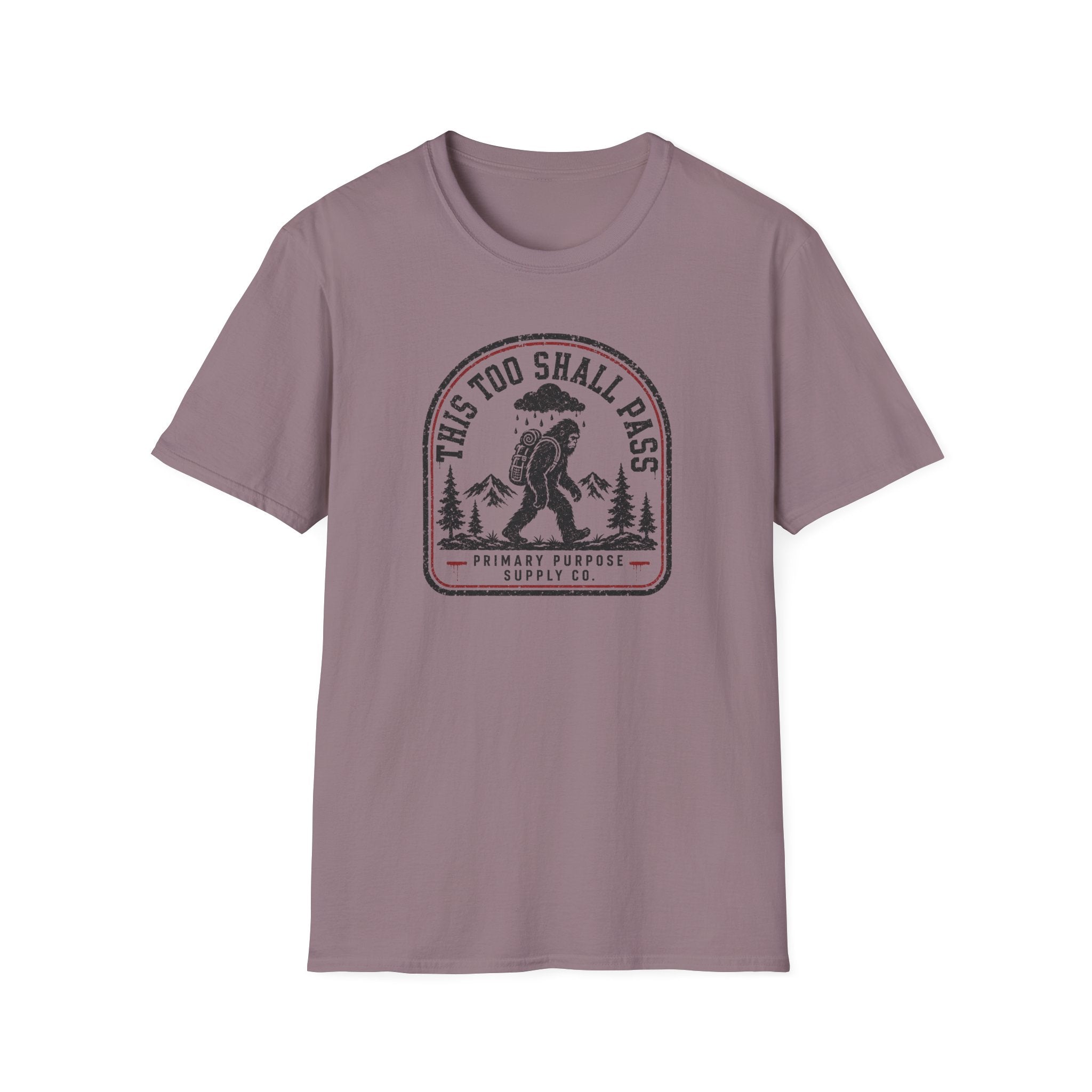 This Too Shall Pass BF T-Shirt